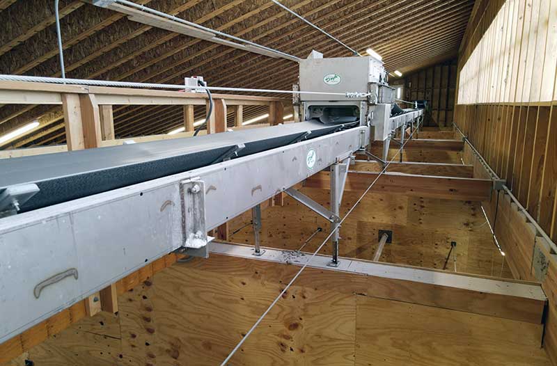 Doyle Stationary Conveyor