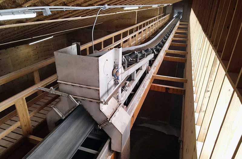 Doyle can roller conveyor